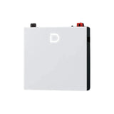 Dyness DL5.0C Pro Lithium Ion Battery 5.12KWH 51.2V 100Ah